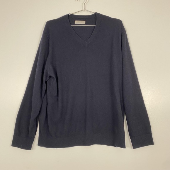 Everlane Sweater Mens 2XL Blue Cashmere V Neck Lightweight Knit Pullover Minimal